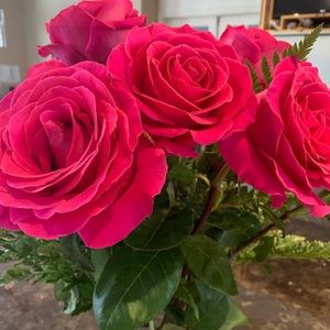 Meet your Posher, Tammy